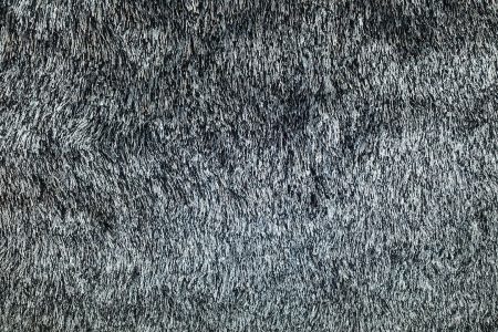 Why Is it Important for Carpet to Be Professionally Cleaned? – Part II