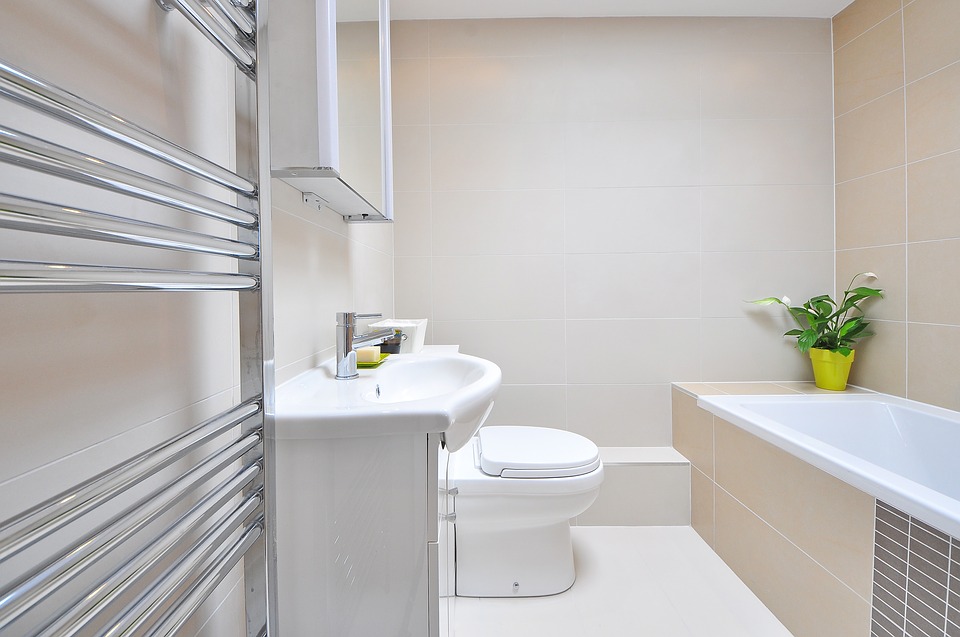 Bathroom for People With Reduced Mobility: How to Design It?