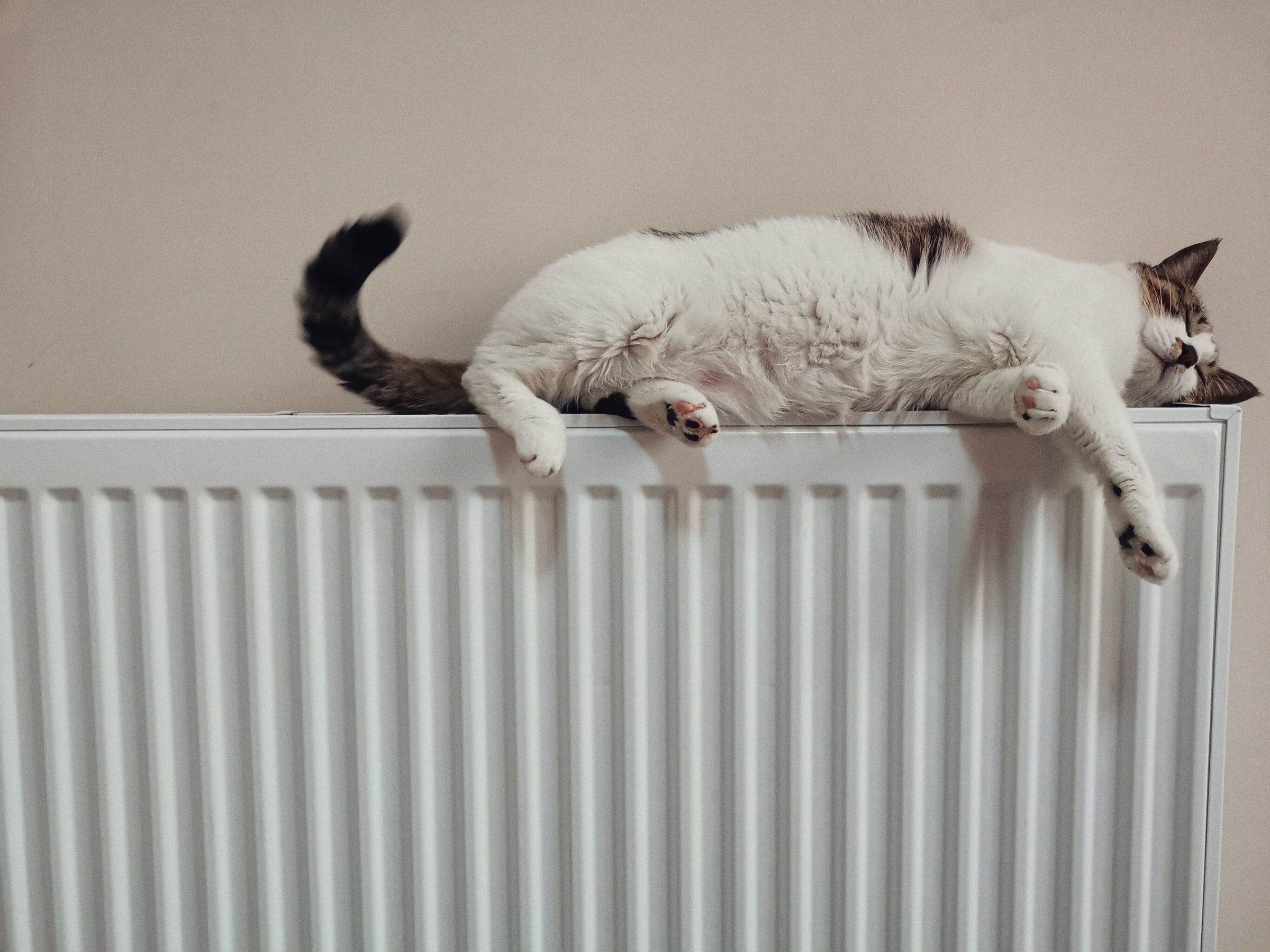 6 Ideas To Integrate The Radiator Into The Home
