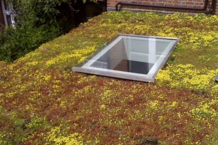 Sedum Green Roof: Between Aesthetics and Insulation Performance