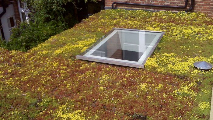 Sedum Green Roof: Between Aesthetics and Insulation Performance
