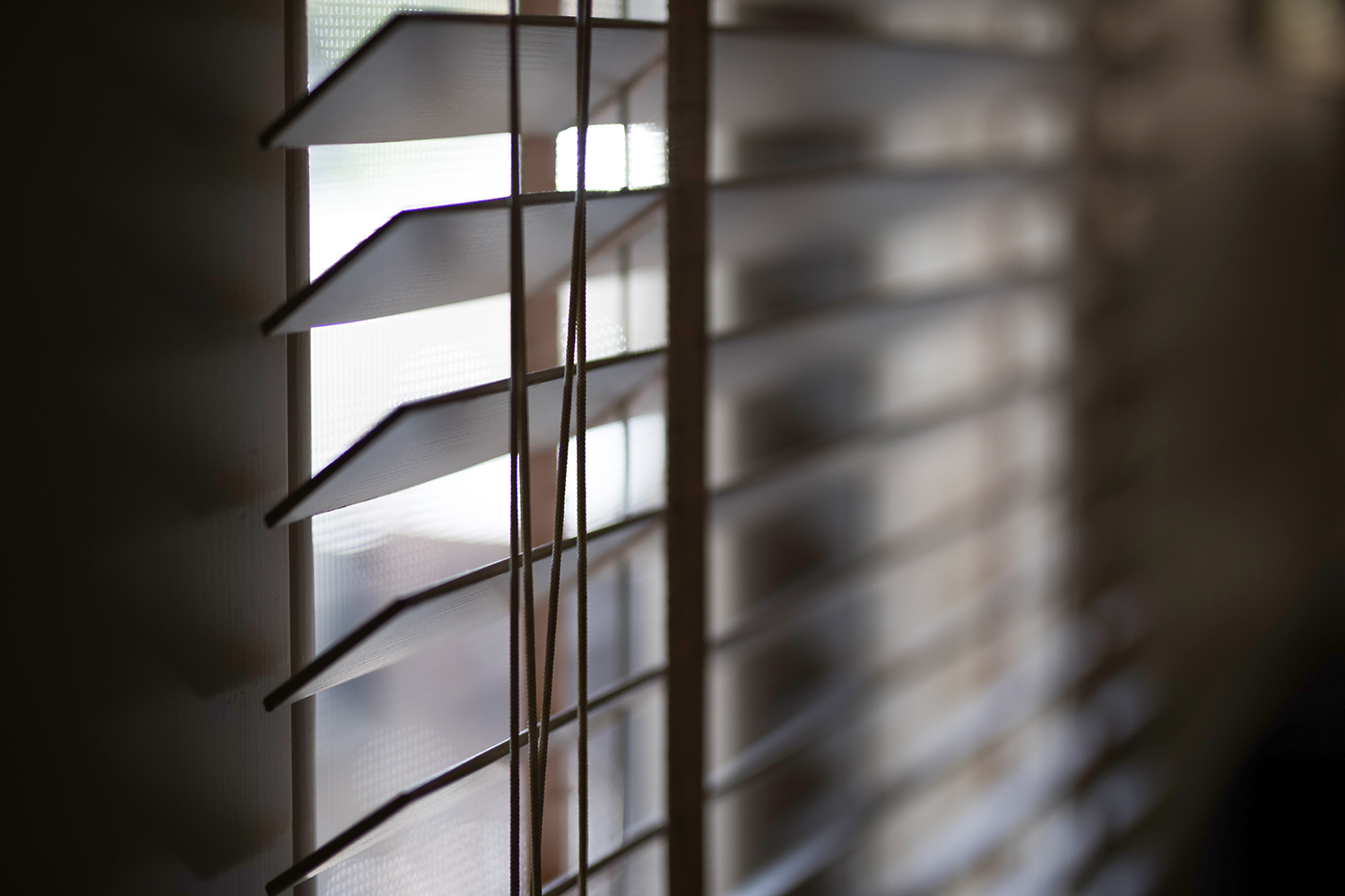 A Comprehensive Guide to Blinds: Exploring Different Types and Styles