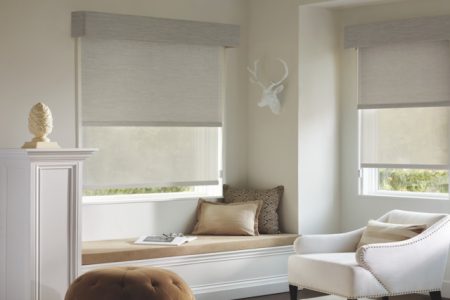 Natural Light, Total Privacy: Exploring Dual-Function Roller Shades