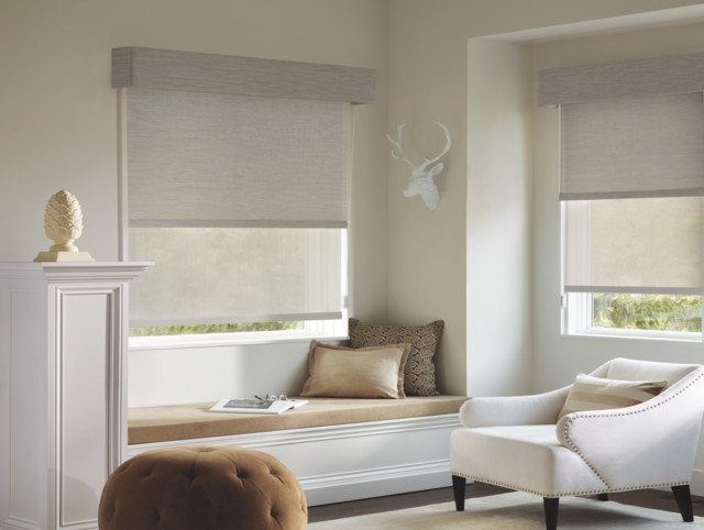 Natural Light, Total Privacy: Exploring Dual-Function Roller Shades